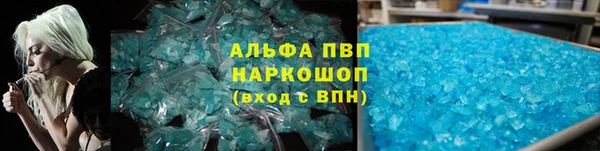 прущие грибы Покачи